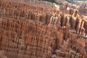 IMG_0342.JPG