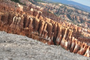 IMG_0344.JPG