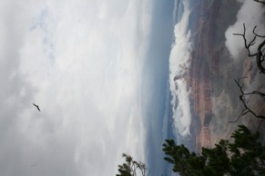 IMG_0964.JPG