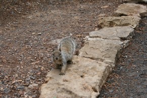 IMG_0986.JPG