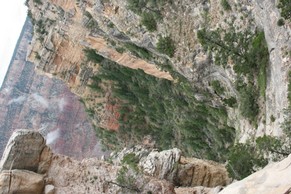 IMG_0988.JPG