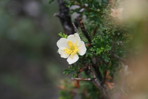 IMG_1010.JPG