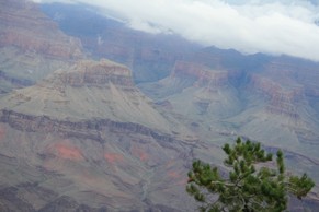 IMG_1022.JPG