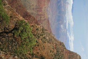 IMG_1040.JPG