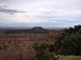 IMG_3775.JPG