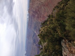 IMG_3777.JPG