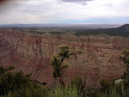 IMG_3778.JPG