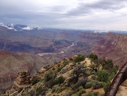 IMG_3783.JPG