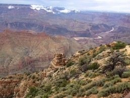 IMG_3784.JPG