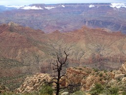 IMG_3785.JPG
