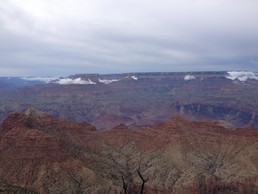 IMG_3786.JPG